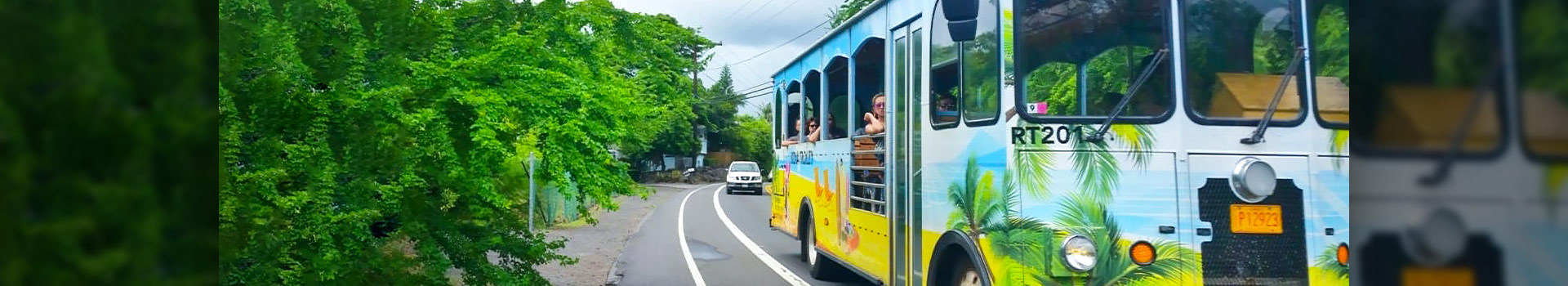 Banner-Trolley-Kona